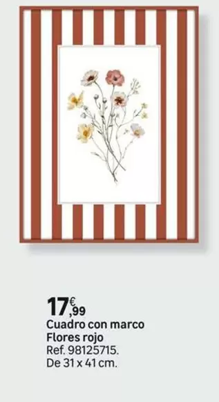 Cuadro Con Marco Flores Rojo