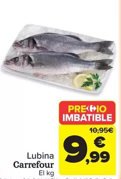 carrefour - Lubina
