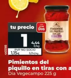 Dia Vegecampo - Pimientos Del Piquillo En Tiras Con Ajo 