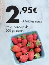 Fresa, Bandeja De 500 Gr. Aprox.