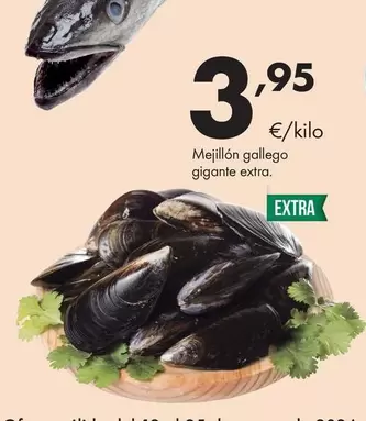 Mejillon Gallego Gigante Extra
