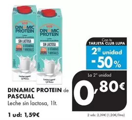 Dynamic - Protein De Pascual