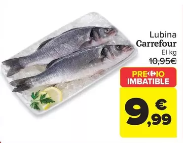 Carrefour - Lubina