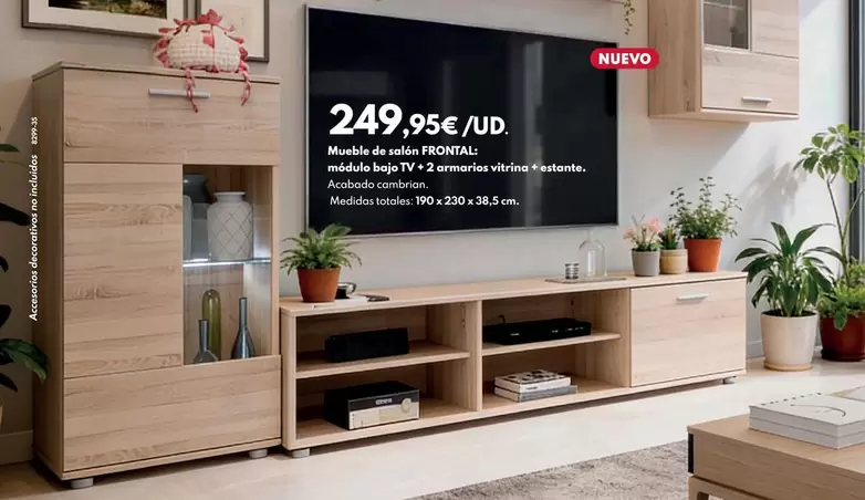 Mueble De Salón Frontal