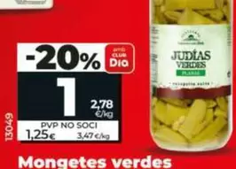 Dia Vegecampo - Judias Verdes Planas Cortadas