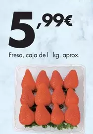 Fresa, Caja De 1 Kg. Aprox.