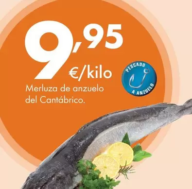 Merluza De Anzuelo Del Cantabrico