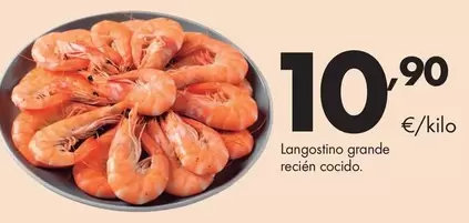 Langostino Grande Recien Cocido