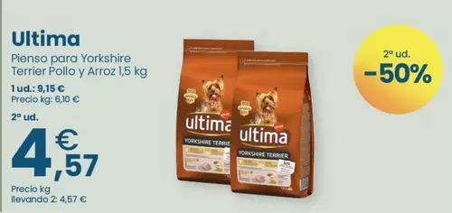 Última - Pienso Para Yorkshire Terrier Pollo Y Arroz