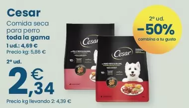 Cesar - Comida Seca Para Perro Toda La Gama