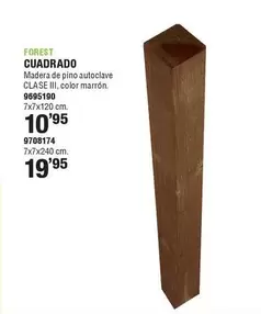 Forest - Cuadrado