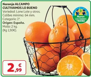 alcampo - Naranja Alcampo Cultivamos Lo Bueno