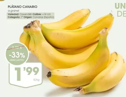 origen - Platano Canario