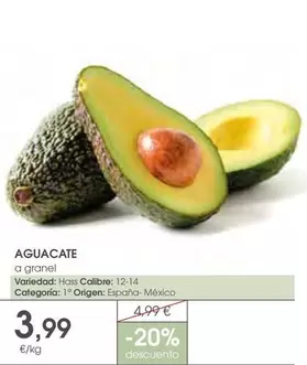 origen - Aguacate