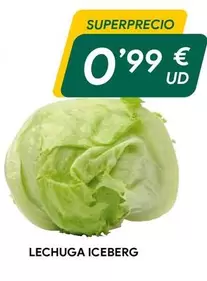 Lechuga Iceberg