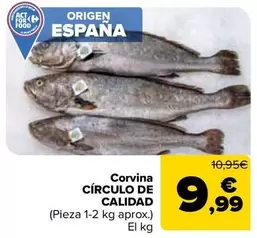 origen - Corvina