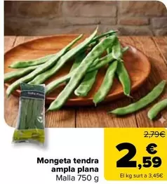 Mongeta Tendra Ampla Plana