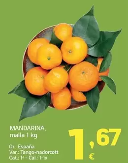 España Mandarina