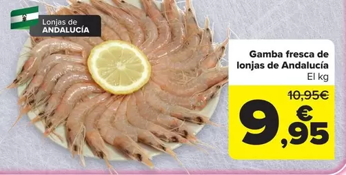 Gamba Fresca De Lonjas De Andalucia