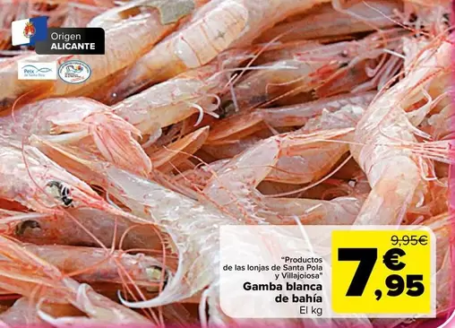Gamba Blanca De Bahia