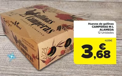 Camperas M-L Alameda - Huevos De Gallinas