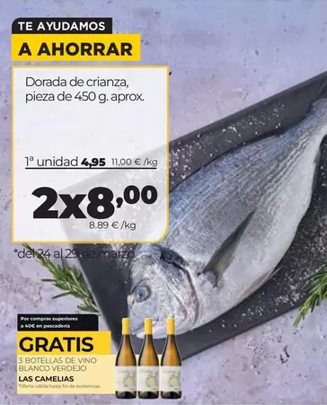 Blanco - Dorada De Crianza