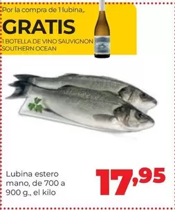 Ocean - Lubina Estero Mano