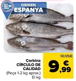 Corvina Circulo De Calidad