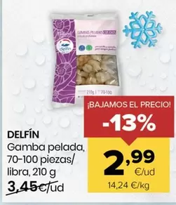 Delfín - Gamba Pelada