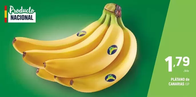 Platano De Canarias