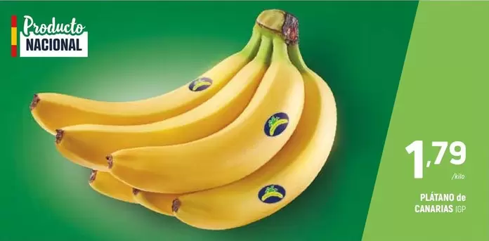 Platano De Canarias