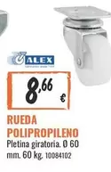 Alex - Rueda Polipropileno