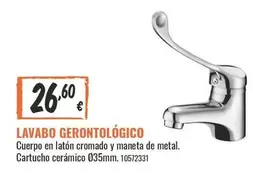 Lavabo Gerontologico