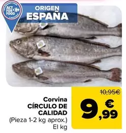 Corvina Circulo De Calidad