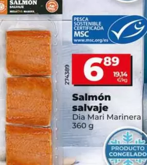 Dia Mari Marinera - Salmón Salvaje