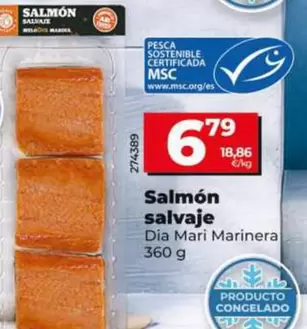 Dia Mari Marinera - Salmón Salvaje