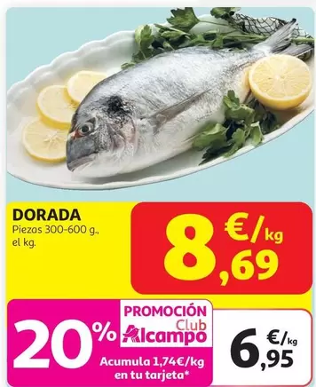 Dorada 300-600 Gr