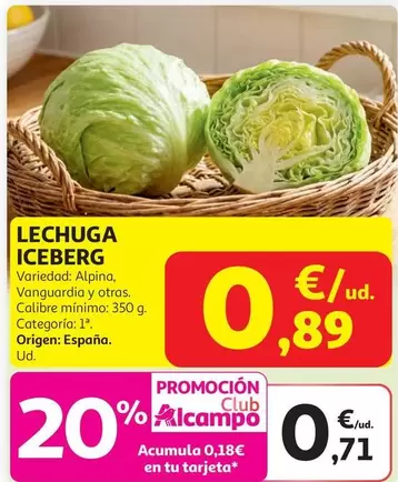 Lechuga Iceberg Ud