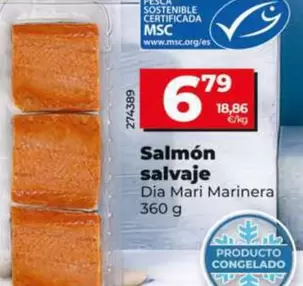 Dia Mari Marinera - Salmón Salvaje 