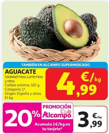 Aguacate