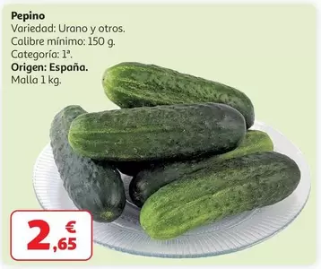 Pepino