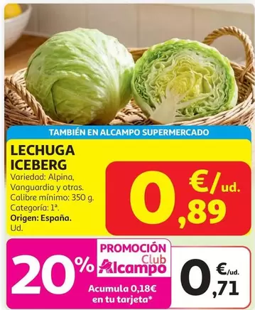 Lechuga Iceberg