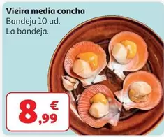 Vieira Media Concha