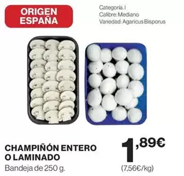 origen - Champiñón Entero O Laminado