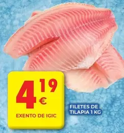 Filetes De Tilapia