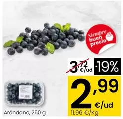 Arándano, 250 G