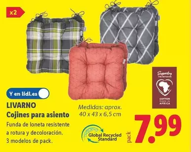 Livarno - Cojines Para Asiento