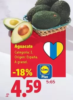Aguacate