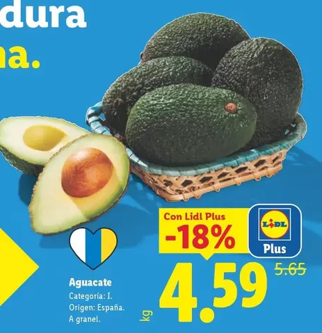 Aguacate