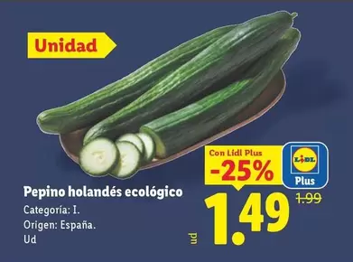 Pepino Holandés Ecológico